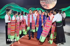 Bí thư Trung ương Đảng, Phó Thủ tướng Chính phủ Phạm Thị Thanh Trà dự khai mạc lễ hội. (Ảnh: TTXVN phát)