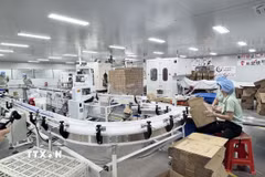 Hoan nghênh Quảng Tây triển khai hợp tác với Việt Nam về khoa học-công nghệ