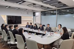 Đại diện Đại sứ quán Việt Nam tại Hàn Quốc, Hội Sinh viên Việt Nam tại Hàn Quốc (VSAK), Trường Đại học Nữ sinh Ewha trao đổi tại phiên làm việc tại Ngày hội. (Ảnh: Đức Thắng/TTXVN)