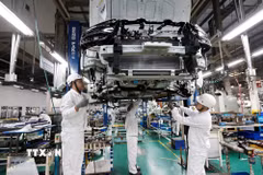 Sản xuất xe ôtô tại nhà máy Honda Việt Nam, phường Vĩnh Phúc, Phú Thọ. (Ảnh: Trần Việt/TTXVN)