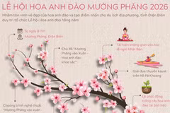 Lễ hội Hoa anh đào Mường Phăng 2026