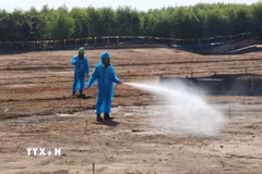 Phun xịt, xử lý dioxin tại sân bay Biên Hòa. (Ảnh minh họa: Công Phong/TTXVN)