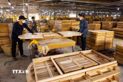Việt Nam và Ba Lan nằm trong nhóm ba quốc gia dẫn đầu thế giới về kim ngạch xuất khẩu đồ gỗ nội thất. (Ảnh: Vũ Sinh/TTXVN)