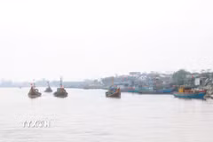(Ảnh minh họa: Xuân Tiến/TTXVN)