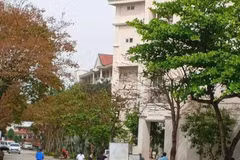 Hiện trường vụ rơi lan tại Trường Phổ thông thực hành sư phạm Đại học Vinh ( Nghệ An). (Nguồn: VOV)