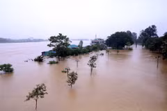 Trên sông Thao, sông Lô, các sông nhỏ ở khu vực Bắc Bộ và Thanh Hóa có khả năng xuất hiện 1 đợt lũ, biên độ lũ lên trên các sông từ 2-5m. (Ảnh: Quang Cường/TTXVN)