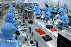 Dây chuyền sản xuất modul camera và linh kiện điện tử xuất khẩu tại nhà máy của Công ty Trách nhiệm hữu hạn MCNEX VINA, 100% vốn đầu tư của Hàn Quốc, trong Khu công nghiệp Phúc Sơn, tỉnh Ninh Bình. (Ảnh: Vũ Sinh/TTXVN)