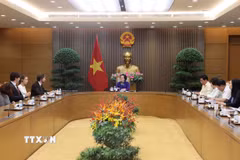 Phó Thủ tướng Phạm Thị Thanh Trà tiếp ông César Louis-Philip Marseille, Giám đốc điều hành Công ty VAMED Engineering GmbH. (Ảnh: Lâm Khánh/TTXVN)