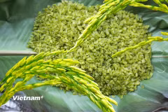 Làm cốm là nghề đòi hỏi sự tỉ mỉ và kinh nghiệm qua nhiều công đoạn, từ chọn lúa nếp, sấy, tách hạt đến giã, sàng, sảy. (Nguồn: Vietnam+)
