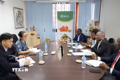 Quang cảnh cuộc làm việc giữa Đại sứ quán Việt Nam và Viện Điều Mozambique. (Ảnh: TTXVN phát)
