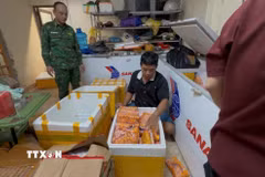 Lực lượng Bộ đội Biên phòng khám xét kho chứa hàng. (Ảnh: TTXVN phát)