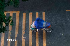 (Ảnh minh họa: Minh Quyết/TTXVN)