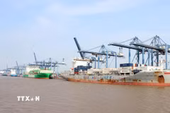 Các cảng tại Thành phố Hồ Chí Minh luôn tấp nập các tàu làm hàng. (Ảnh: Tiến Lực/TTXVN)