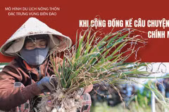 Mô hình du lịch nông thôn đặc trưng vùng biển đảo: Khi cộng đồng kể câu chuyện của chính mình