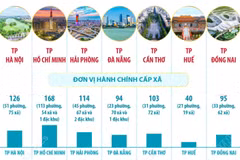 Thông tin về 7 thành phố trực thuộc Trung ương