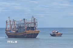 Lực lượng chức năng đã huy động tàu cá của ngư dân trên địa bàn tiếp cận, kéo tàu QB 92267 TS ra khỏi khu vực mắc cạn và đưa vào Khu neo đậu Cửa Tùng an toàn vào khoảng 15 giờ ngày 22/8. (Ảnh: TTXVN phát)