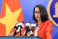 Người phát ngôn Bộ Ngoại giao Phạm Thu Hằng trả lời câu hỏi của các cơ quan báo chí trong nước và quốc tế. (Ảnh: An Đăng/TTXVN)