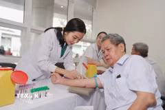 Nhân viên y tế Bệnh viện Quân y 175 kiểm tra sức khỏe cho người có công trên địa bàn phường Hạnh Thông. (Ảnh: Đinh Hằng/TTXVN)