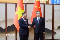 Phó Thủ tướng Thường trực Chính phủ Phạm Gia Túc (trái) và Phó Thủ tướng Quốc Vụ viện Trung Quốc Đinh Tiết Tường. (Ảnh: Công Tuyên/TTXVN)