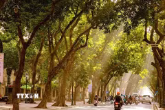 Hà Nội mỗi mùa đều mang một vẻ đẹp riêng, nhưng có lẽ mùa Thu là mùa khiến lòng người say đắm, xao xuyến hơn cả. (Ảnh: Khánh Hòa/TTXVN)
