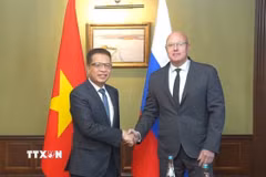 Đại sứ Đặng Minh Khôi hội kiến Phó Thủ tướng Nga Dmitry Chernyshenko. (Ảnh: Văn Hiếu/TTXVN)