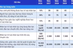 Lộ trình thực hiện các chỉ tiêu đào tạo, phát triển nhân lực trí tuệ nhân tạo