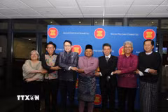 Các đại sứ ASEAN tại Nam Phi thể hiện tinh thần đoàn kết. (Ảnh: Đặng Huyền/TTXVN)