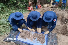 Đội K93 tỉnh An Giang quy tập hài cốt liệt sỹ tại xã Ô Lâm, tỉnh An Giang. (Ảnh: TTXVN phát)