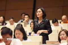 Đại biểu Quốc hội tỉnh Quảng Ninh Trần Thị Kim Nhung. (Ảnh: An Đăng/TTXVN)