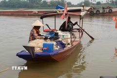 Đánh bắt cá bằng lưới truyền thống tại khúc sông Hồng chạy qua phường Phố Hiến (Hưng Yên). (Ảnh: Mạnh Khánh/TTXVN)