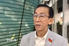 Đại biểu Trần Hoàng Ngân (Thành phố Hồ Chí Minh). (Ảnh: Hải Ngọc/TTXVN)
