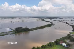 (Ảnh: Thanh Tân/TTXVN)