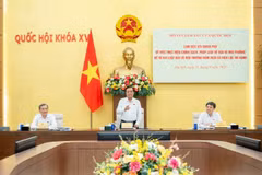 Phó Chủ tịch Quốc hội Lê Minh Hoan phát biểu tại cuộc làm việc. (Nguồn: Báo Đại biểu Nhân dân)