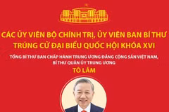 Các Ủy viên Bộ Chính trị, Ủy viên Ban Bí thư trúng cử đại biểu Quốc hội khóa XVI