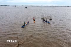 Du khách trải nghiệm mùa nước nổi trên cánh đồng ở Đồng Tháp. (Ảnh: Nhựt An/TTXVN)
