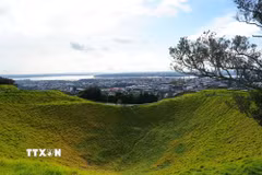 Mount Eden (tên gọi tiếng Māori: Maungawhau, nghĩa là "ngọn núi của cây whau" - cây gỗ đặc hữu siêu nhẹ của New Zealand) là đỉnh núi tự nhiên cao nhất trên đất liền thuộc vùng Auckland với độ cao 196m so với mực nước biển. Đây là ngọn núi lửa đã ngưng hoạt động khoảng 28.000 năm trước, nổi bật với lòng chảo miệng núi lửa sâu 50m phủ đầy thảm cỏ xanh mướt - một địa điểm thiêng liêng mang giá trị lịch sử và tâm linh đặc biệt đối với người Māori. (Ảnh: Lê Đạt/TTXVN)