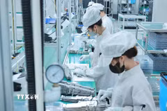 Chuyên gia nhận định để tránh bị bỏ lại phía sau trong kỷ nguyên của công nghệ và tự động hóa, Việt Nam bắt buộc phải thay đổi mô hình phát triển. (Ảnh: Hoàng Hiếu/TTXVN)