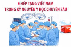 Ghép tạng Việt Nam trong kỷ nguyên y học chuyên sâu
