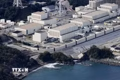 Nhà máy điện hạt nhân Onagawa ở tỉnh Miyagi, Nhật Bản. (Ảnh: Kyodo/TTXVN phát)