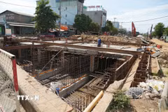(Ảnh minh họa: Anh Dũng/TTXVN)