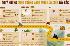 Gợi ý những cung đường vàng mùa lúa chín Tây Bắc