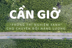 Cần Giờ - “phòng thí nghiệm xanh” cho chuyển đổi năng lượng