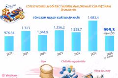 Quan hệ hữu nghị và hợp tác tốt đẹp Việt Nam-Côte d’Ivoire