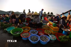 Rau vườn, trái cây là cây nhà, cá là bắt dưới mương lên còn tươi xanh. (Ảnh: Duy Khương/TTXVN)