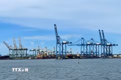 Khu vực cảng biển ở kênh đào Panama - tuyến đường thủy nhân tạo dài 82km nối Đại Tây Dương với Thái Bình Dương, đóng vai trò quan trọng trong thương mại hàng hải quốc tế. (Nguồn: TTXVN phát)