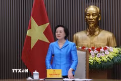 Phó Thủ tướng Phạm Thị Thanh Trà phát biểu chỉ đạo. (Ảnh: Lâm Khánh/TTXVN)