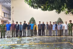 Các đối tượng liên quan đường dây đánh bạc qua mạng bị bắt giam. (Ảnh: TTXVN phát)