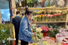 Các loại hoa nhập khẩu có giá ổn định. (Ảnh: Hương Giang/TTXVN)