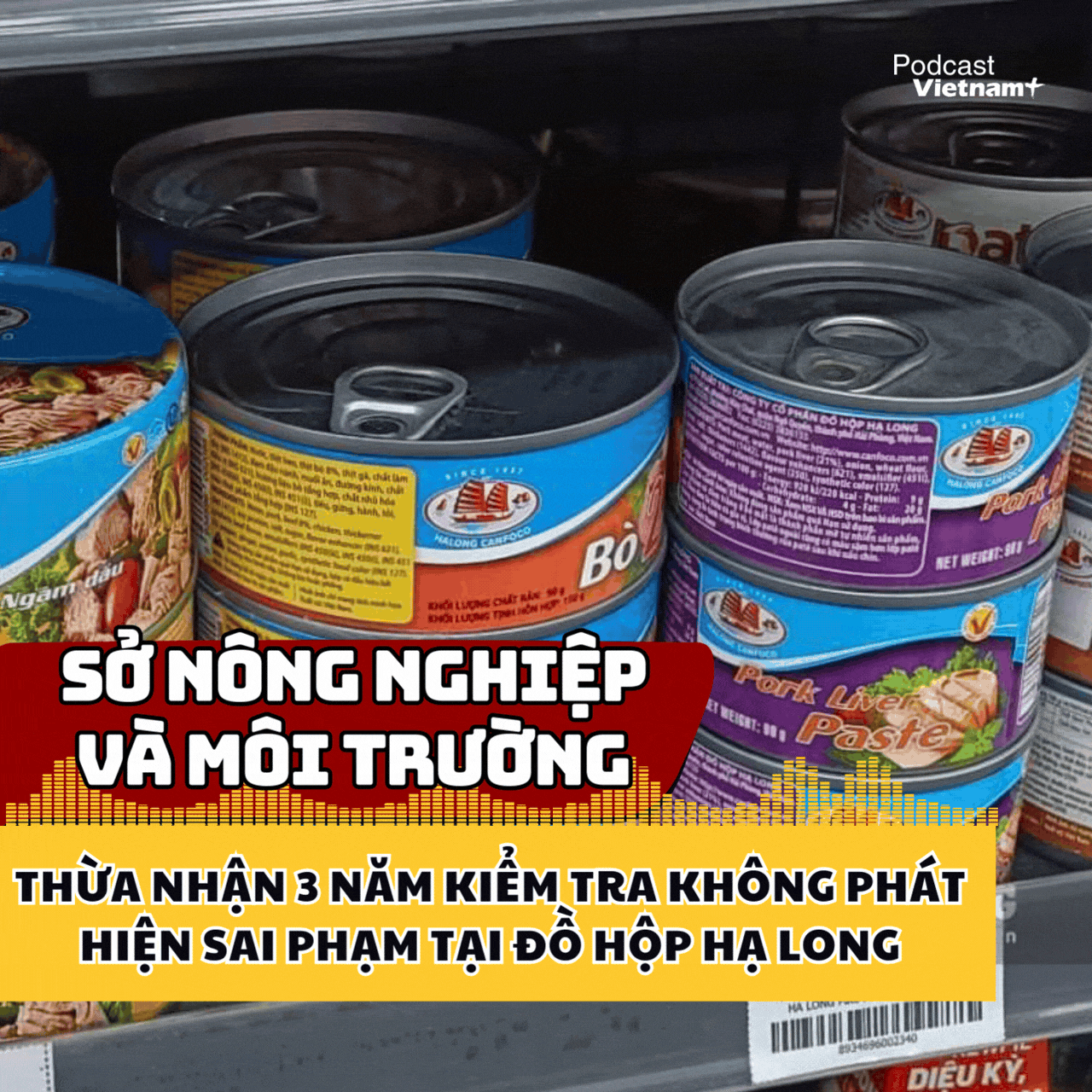 3 năm kiểm tra không phát hiện sai phạm tại Công ty cổ phần Đồ hộp Hạ Long