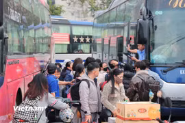 Giá cước vận tải đã được điều chỉnh sau biến động của giá xăng dầu trong thời gian qua. (Ảnh: Hoài Nam/Vietnam+)